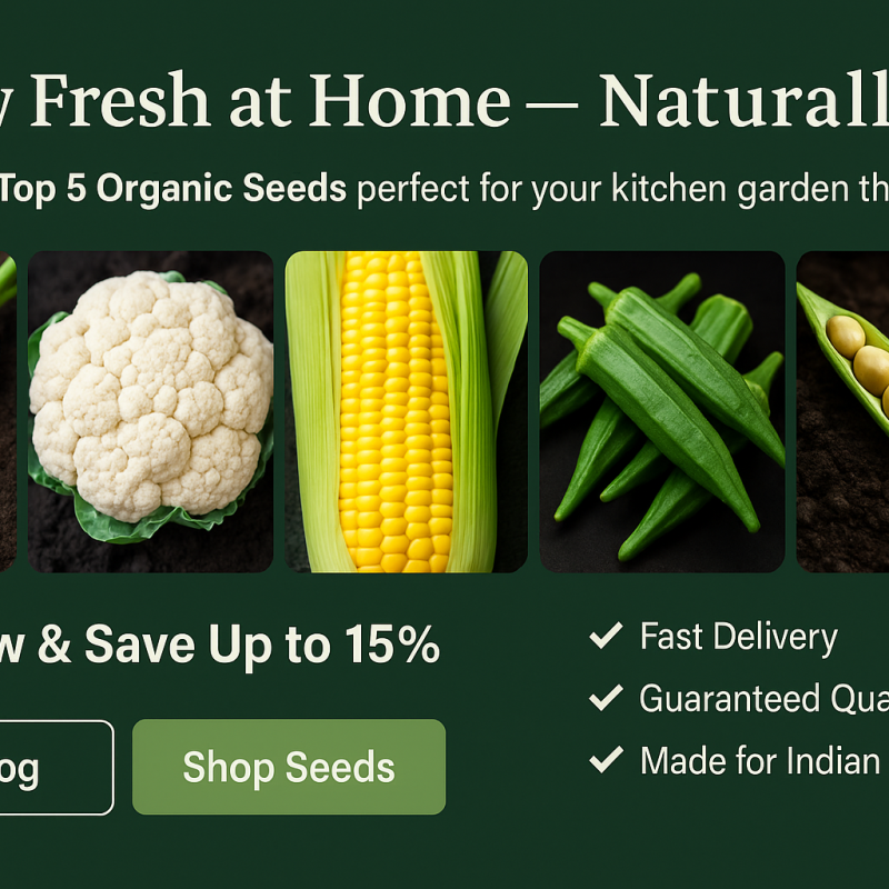 Top 5 Organic Seeds to Grow in Your Home Garden This Season