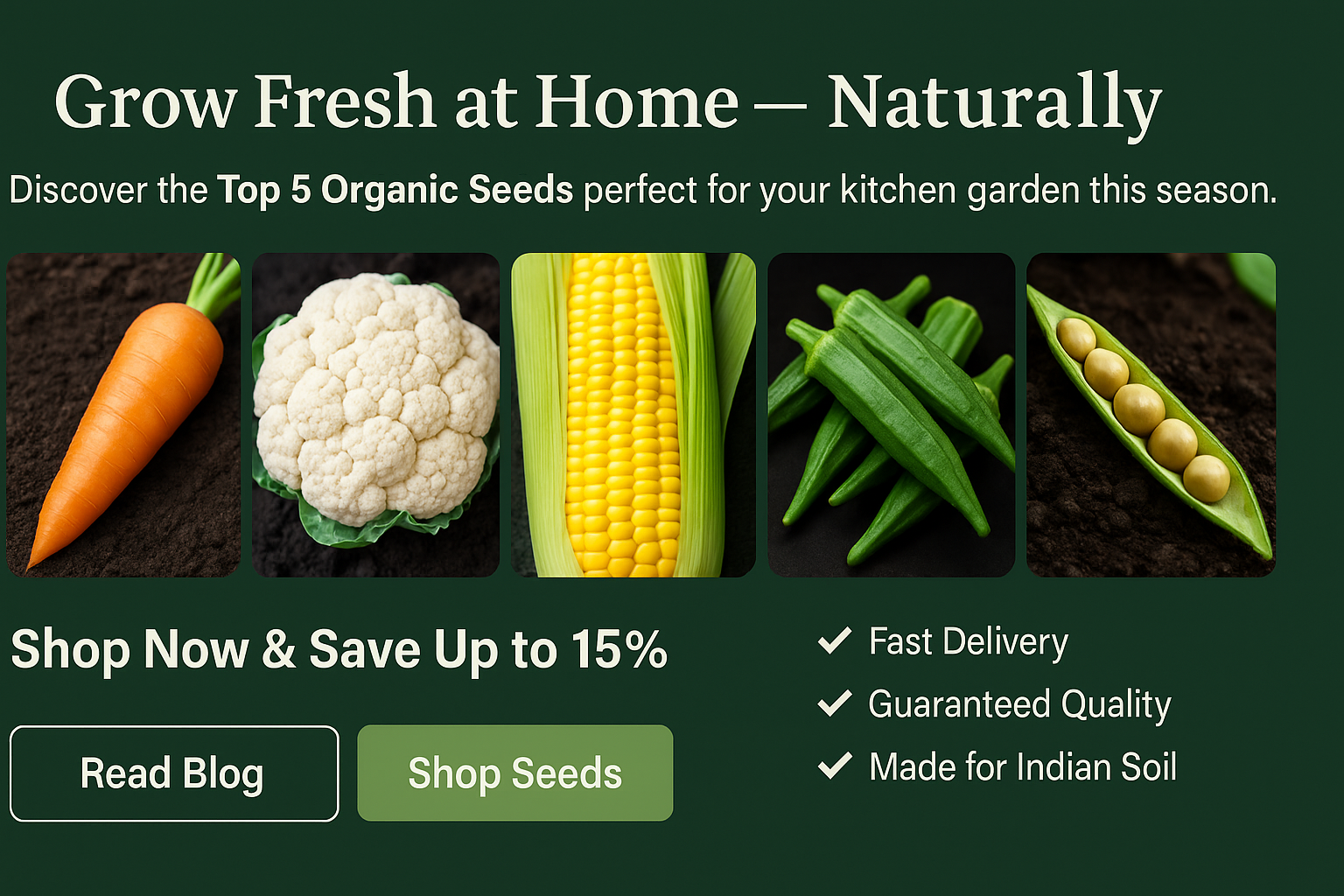 Top 5 Organic Seeds to Grow in Your Home Garden This Season