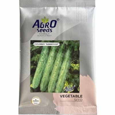 Cucumber - Summer EXP