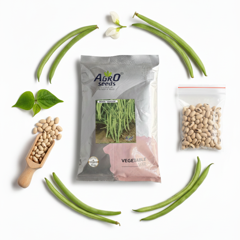 Beans "Shagun" Vegetable Seeds