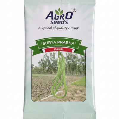 Surya Prabha" Kakri (Armenian Cucumber)