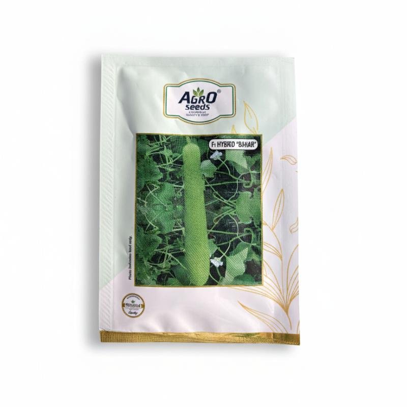 Bottle Gourd "F1 Hybrid 'Bahar "