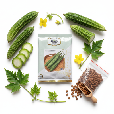 Ridge Gourd 'Fl Shilpa'