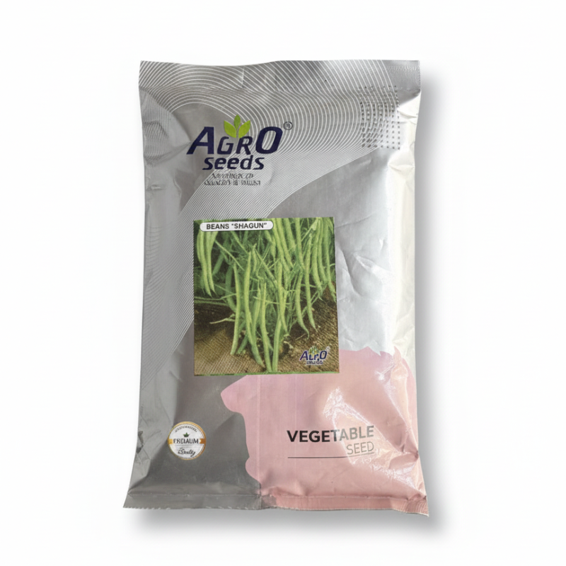 Beans "Shagun" Vegetable Seeds