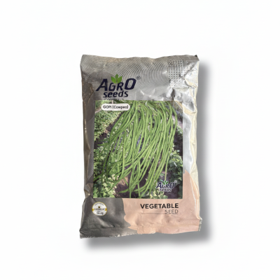 Cowpea "GOPI" (Lobia/Yardlong Bean) Seeds