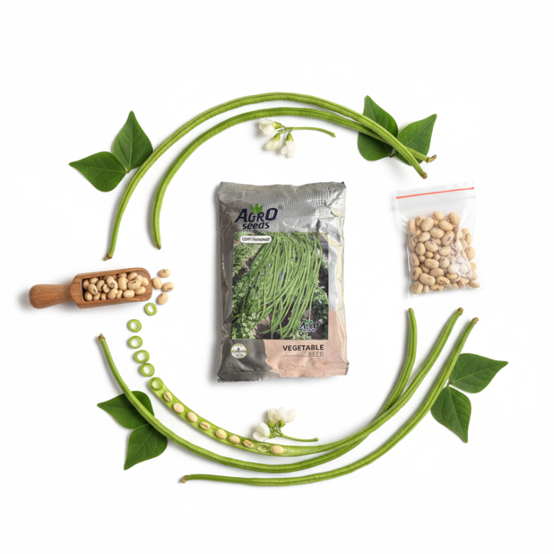 Cowpea "GOPI" (Lobia/Yardlong Bean) Seeds