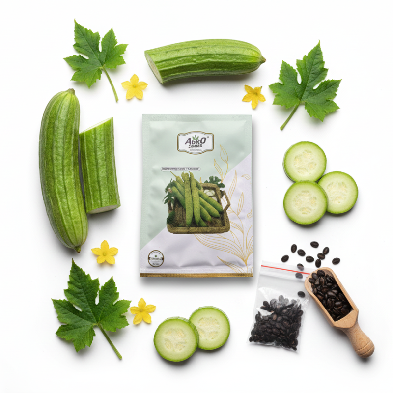 Sponge Gourd "F1 Sweeta"