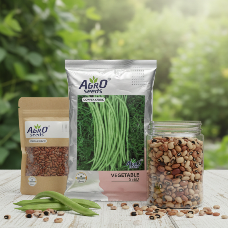Cowpea Kartik (Yardlong Bean)