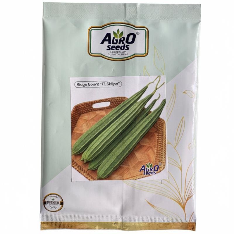 Ridge Gourd 'Fl Shilpa'
