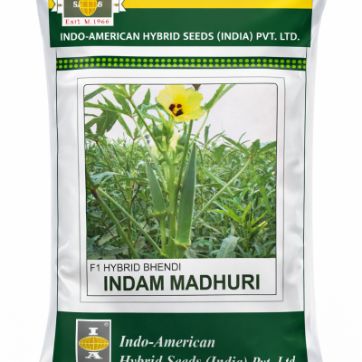 INDAM MADHURI – F1 Hybrid Bhendi