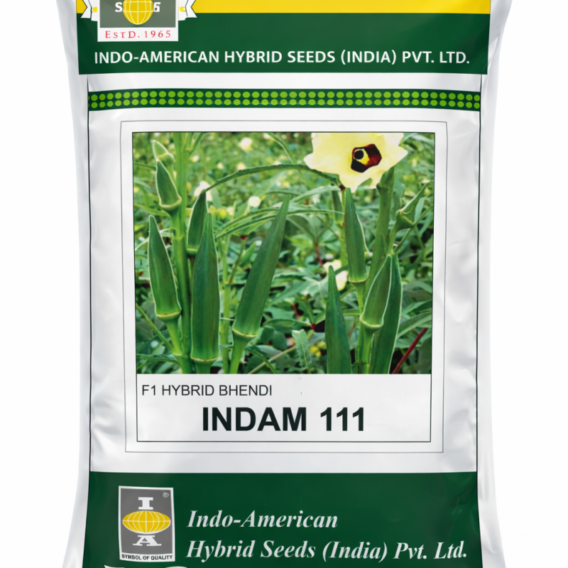 INDAM 111 – F1 Hybrid Bhendi