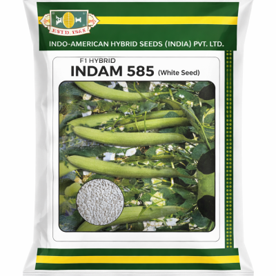 Indam Sponge Gourd F1 Hybrid Seeds