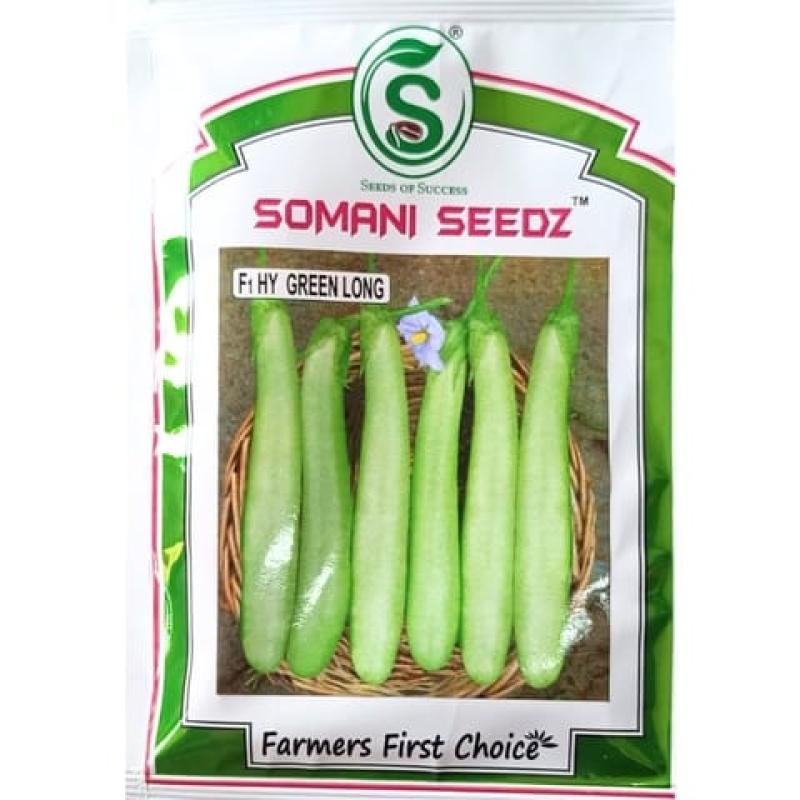 F1 HY GREEN LONG