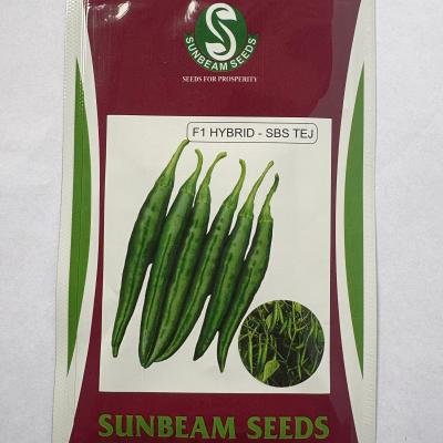 F1 HYBRID - SBS TEJ