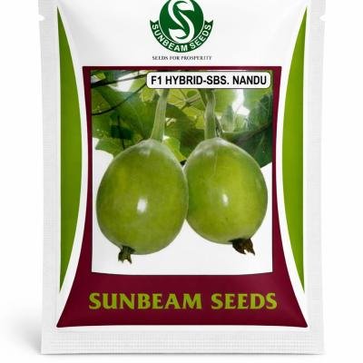 F1 Hybrid Bottle Gourd Seeds – SBS Nandu