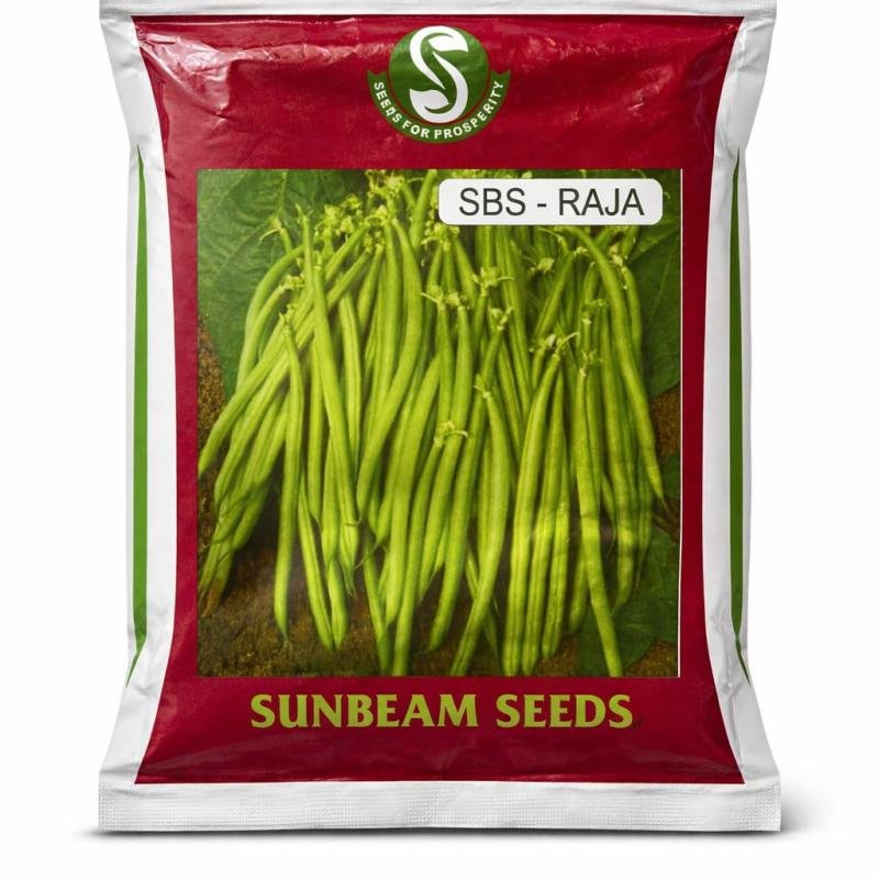 Long Bean Seeds – SBS-Raja | Sunbeam Seeds | High Yield Vegetables