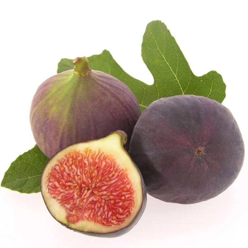 Anjeer (Fig) Fruit Plant – High-Yield, Sweet & Nutritious Variety