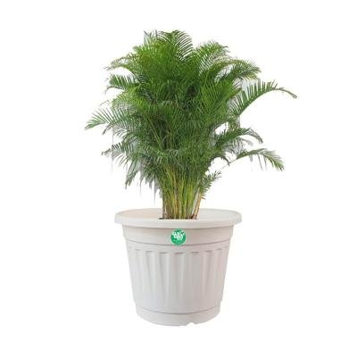 16 Inch White Durable Nursery & Garden Pot – Elegant, Heavy-Duty, UV-Resistant Planter