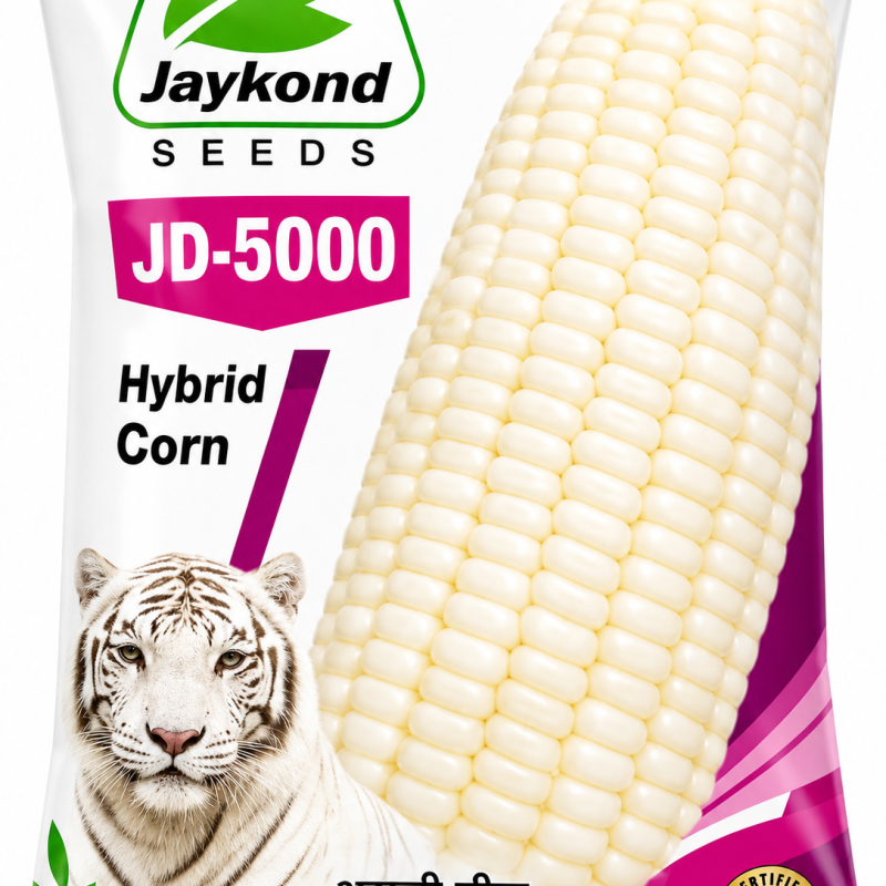 Jaykond JD-5000 Hybrid Corn Seeds