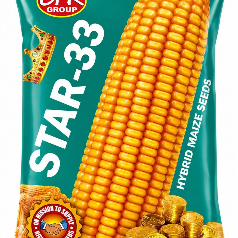GPR Star-33 Hybrid Maize Seeds