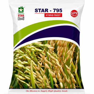 Star 795 Hybrid Paddy Seeds | Premium High Yield Rice Seeds