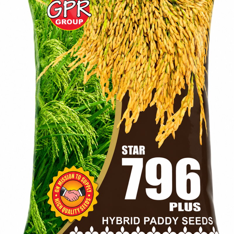 GPR Group Star 796 Plus Hybrid Paddy Seeds