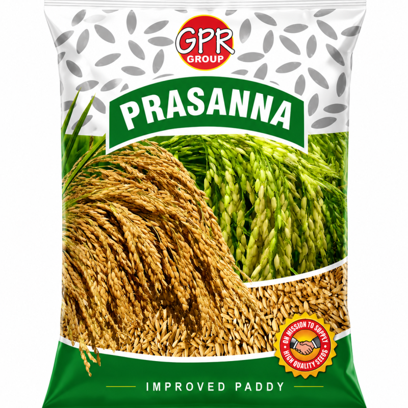 GPR Group Prasanna Improved Paddy Seeds