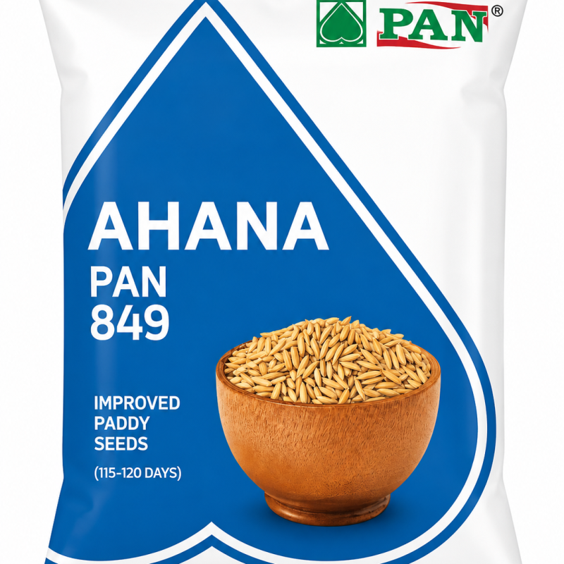 PAN Ahana 849 Improved Paddy Seeds
