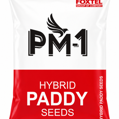 Foxtel PM-1 Hybrid Paddy Seeds
